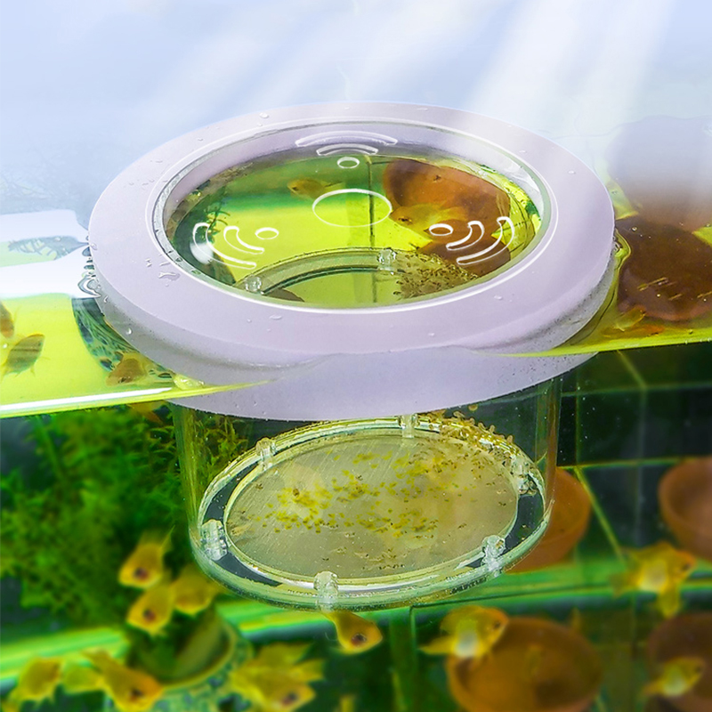 Incubateur d'Aquarium en Acryl - Lab Incubator avis et prix