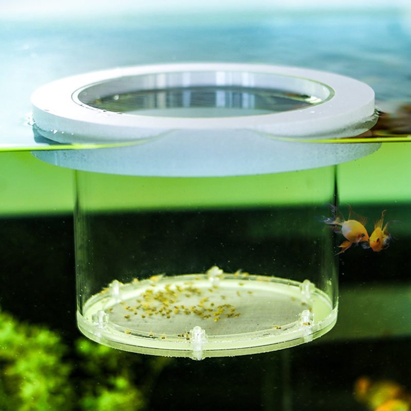 Incubateur d'Aquarium en Acryl - Lab Incubator avis et prix
