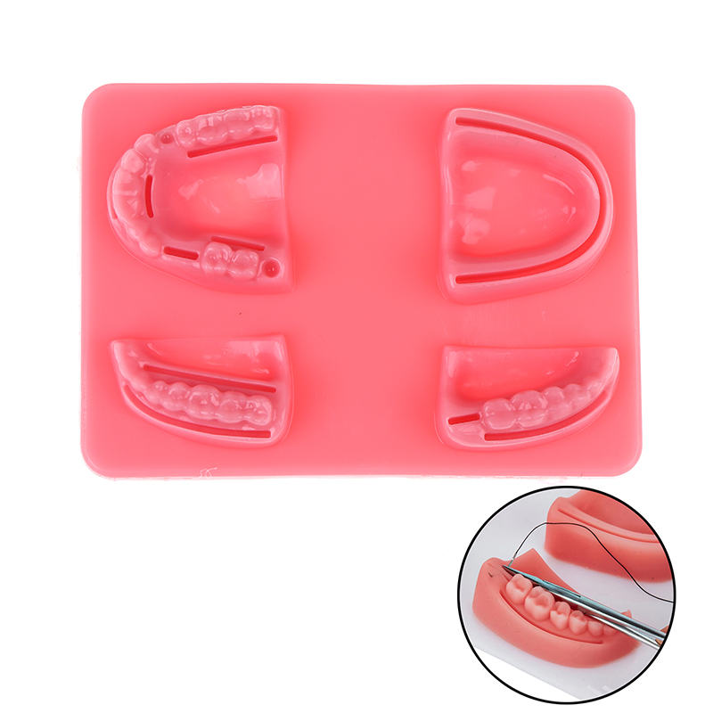Kit de formation en silicone p - Medical Lab Kit avis et prix