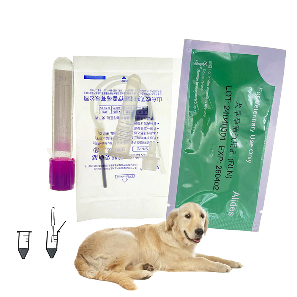 Kit de Test de Grossesse Profe - Urine Analyzer Strip avis et prix