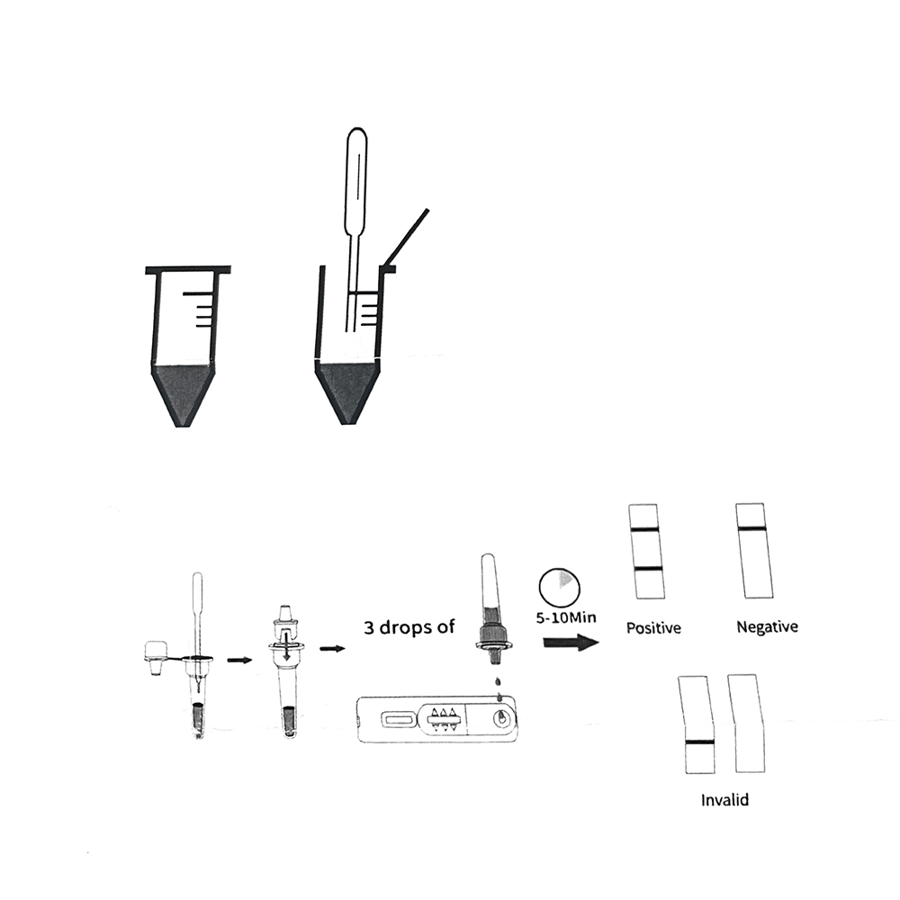 Kit de Test de Grossesse Profe - Urine Analyzer Strip avis et prix