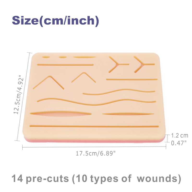 Kit de pratique de Suture pour - Medical Lab Kit avis et prix