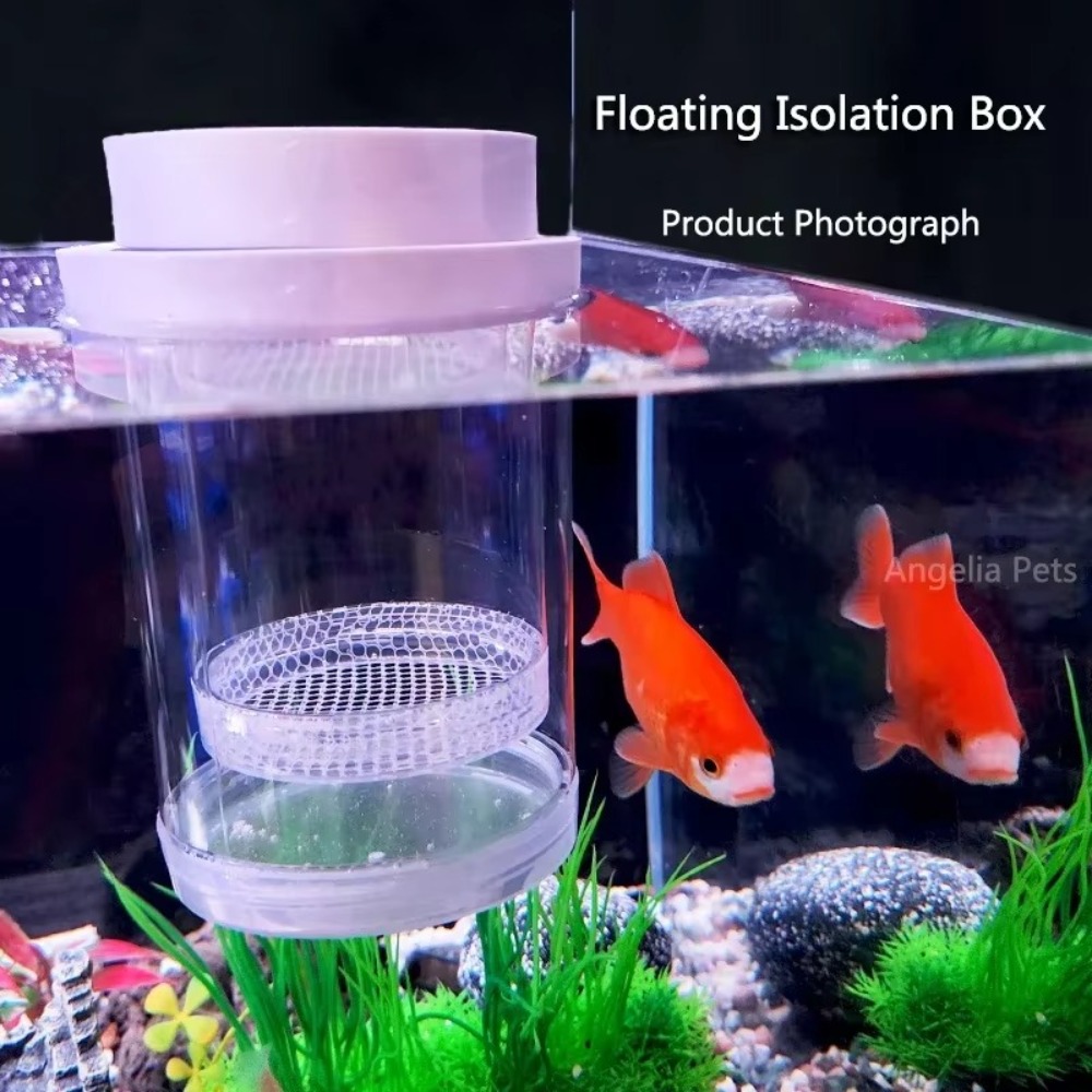 Boîte d'isolation flottante en - Lab Incubator avis et prix